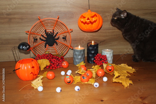 halloween pumpkin and pumpkin