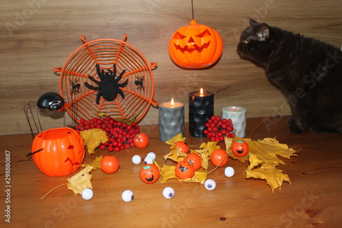 halloween pumpkin and pumpkins