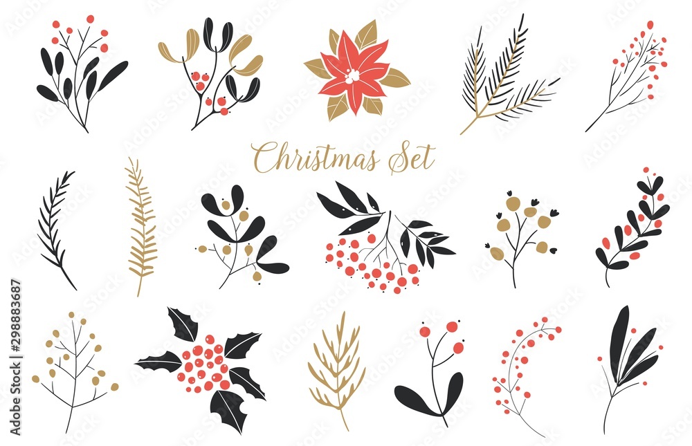 Obraz Elegant Christmas Graphic Set. Set of plants with flowers, spruce branches, leaves and berries. Hand drawn design elements.