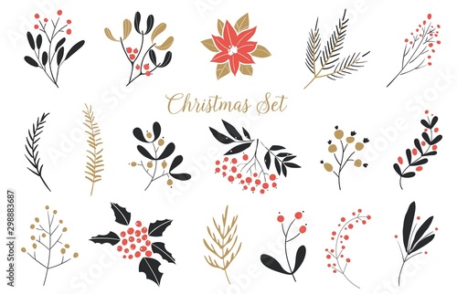 Elegant Christmas Graphic Set. Set of plants with flowers, spruce branches, leaves and berries. Hand drawn design elements. photo