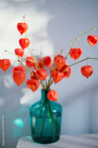 bouquet of physalis in blue glass vase