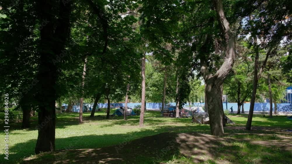 Vida en el parque, Budapest, Hungría, Europa Vida en el parque, Budapest, Hungría, Europa
