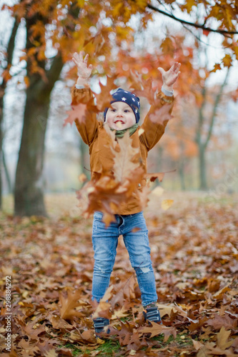 little boy play with autumn leaves in autumn park