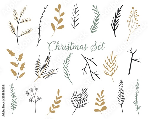 Christmas set of plants with flowers, spruce branches, leaves. Set of fir branches. Christmas tree, pine, winter. Perfect for invitations, greeting cards, posters, prints