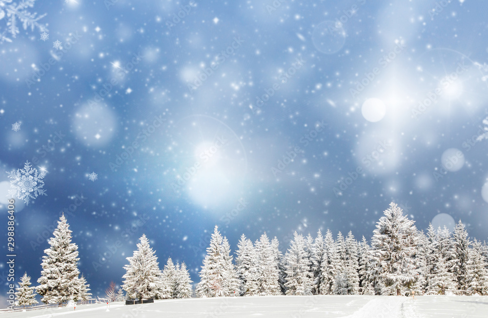 amazing Christmas background with snowy firs winter landscape