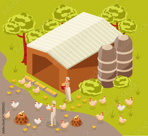 Chicken Farm Barn Composition