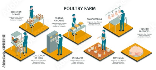 Poultry Farm Isometric Infographics