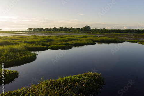 Fototapeta Naklejka Na Ścianę i Meble -  river landscape where you can see floating Islands on the surface of the water
