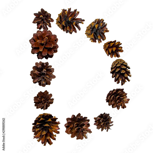 Christmas font made of fir cones