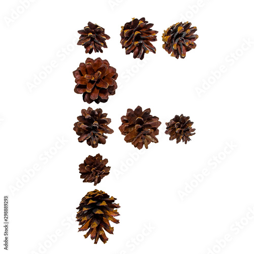 Christmas font made of fir cones