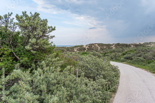  Wanderweg durch einen Dünenpark – Niederlande, Den Haag photo