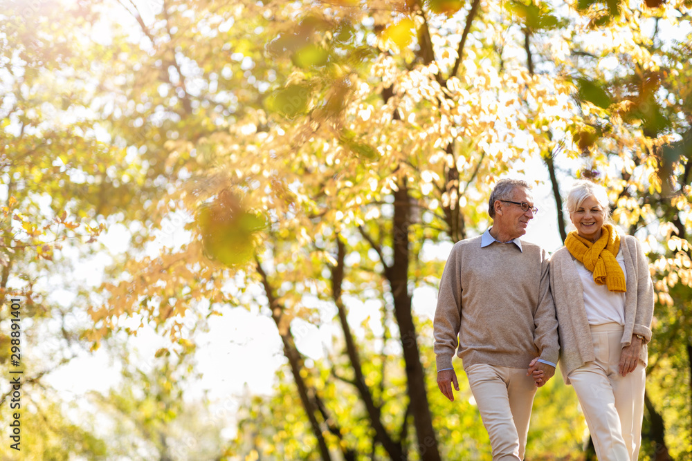 Happy senior couple in autumn park