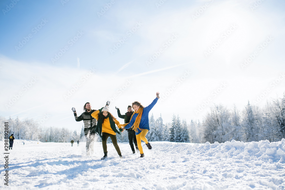Group of young friends on a walk outdoors in snow in winter forest, having fun. - obrazy, fototapety, plakaty 