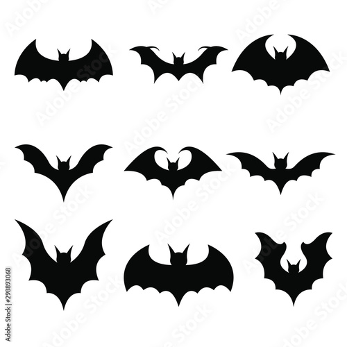 Bat vector design illustration isolated on white background