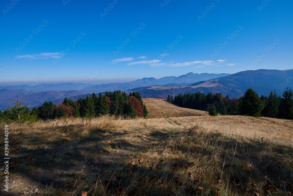 autumn landscape on a high hill