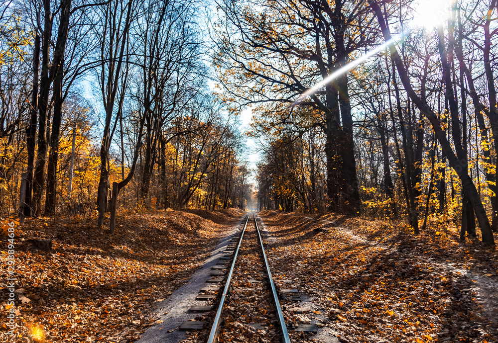 Railroad single track through the woods in autumn. Fall landscape. Railroad single track through the woods in autumn. Fall landscape.