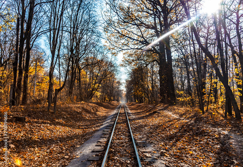 Railroad single track through the woods in autumn. Fall landscape.