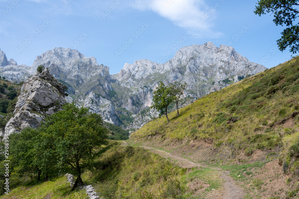 Road of the cares in the passage of the valley through the peaks of Europe