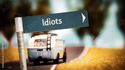 Slika na platnu Street Sign to Idiots