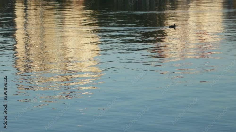 Reflection of the buildings on the water surface of the city lake, background Reflection of the buildings on the water surface of the city lake, background