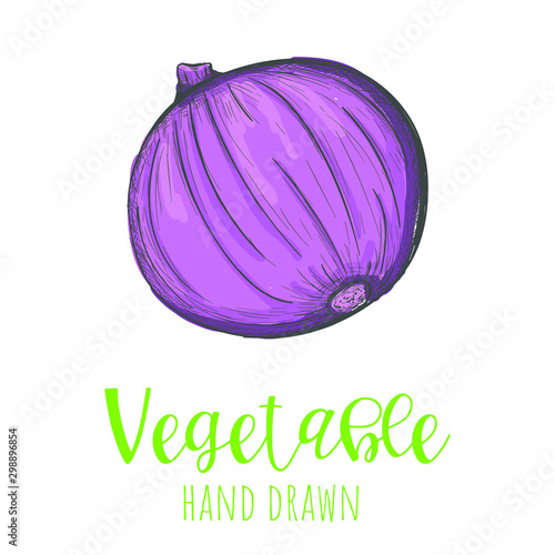 Red onion hand drawn vector illustration, isolated sketched design element.