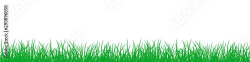 Green Grass on white background.