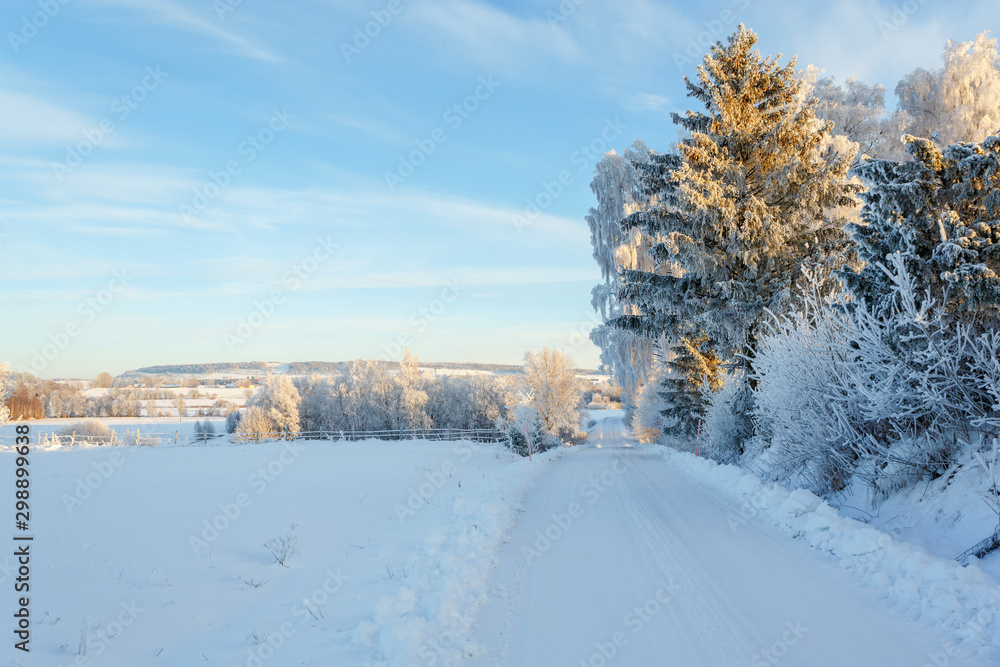 Winter road with a beautiful snowy rural landscape