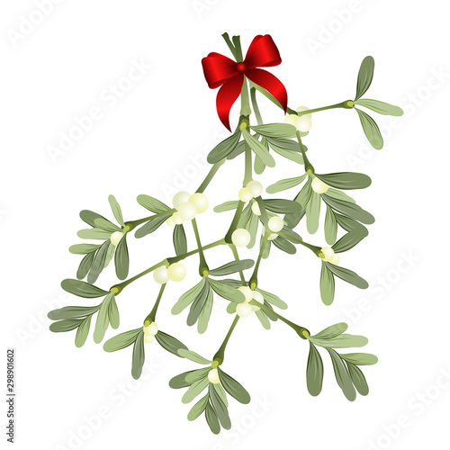 Mistletoe sprig with red bow isolated on white background, vector illustration for Christmas cards and decorative design.