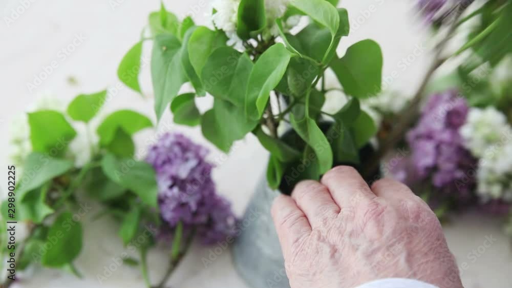 A woman puts fresh flowers in a small metal vase A woman puts fresh flowers in a small metal vase