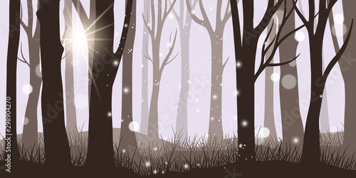 Misty forest background. Horror night and magical lights morning forest landscape, dark fantasy foggy wood, beautiful autumn or summer trunks panorama, vector illustration