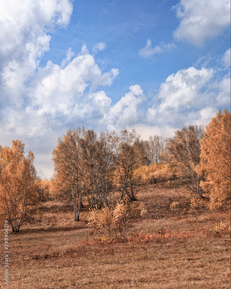 Fototapeta premium Autumn colored scenery with dramatic clouds, Inner Mongolia, China