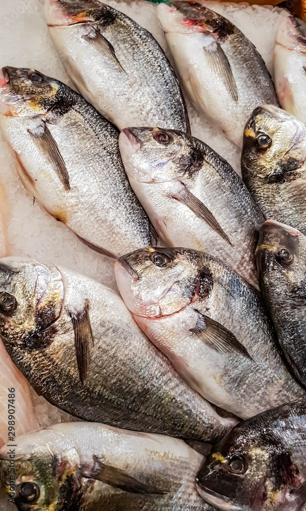 Gilt-head bream (Sparus aurata) on the fish market Gilt-head bream (Sparus aurata) on the fish market