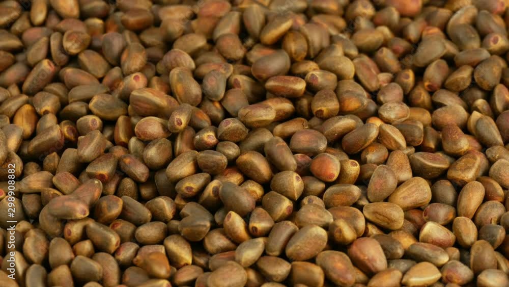 Nuts of a Siberian Pine. Local named Cedar (Pinus Sibirica). Nuts of a Siberian Pine. Local named Cedar (Pinus Sibirica).