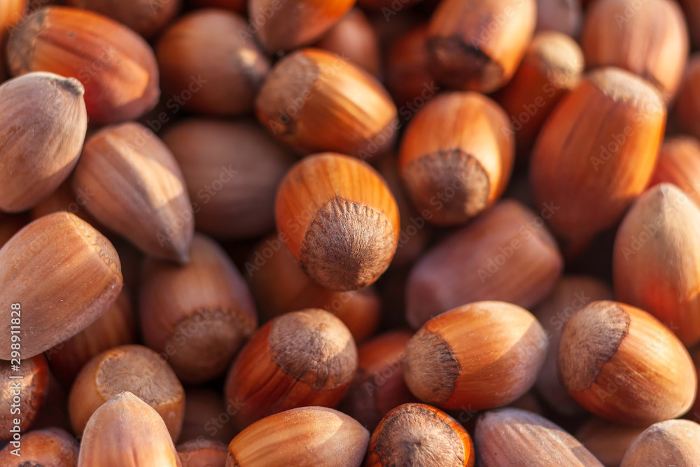 Dried Hazelnuts organic closeup background Dried Hazelnuts organic closeup background