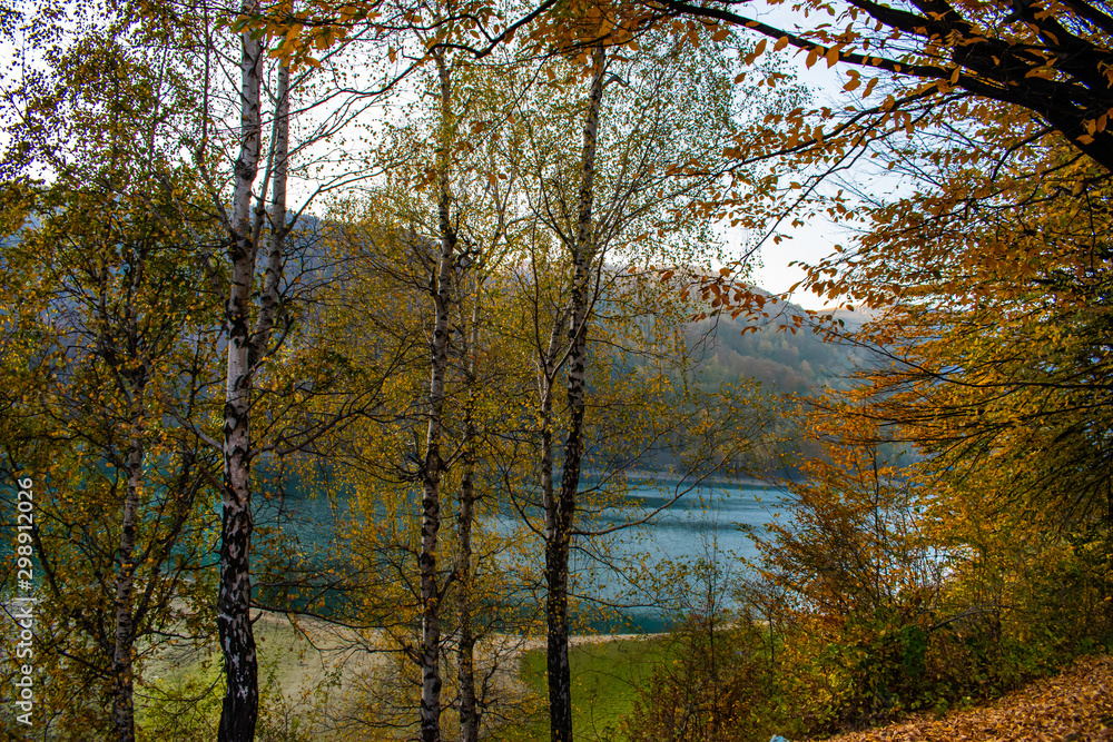Beautiful view through the trees of a lake surrounded by forests, in a sunny day in autumn