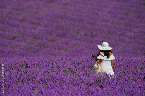 Lavender field fully flowered and violet, in the middle there is a girl dressed in white