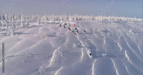 Aerial shot: a large group of free riders roll down the beautiful mountain valley. Freeride vacation and snowboarding ski resort. freeriding in the snowy mountains. snow cat during a day of cat skiing photo