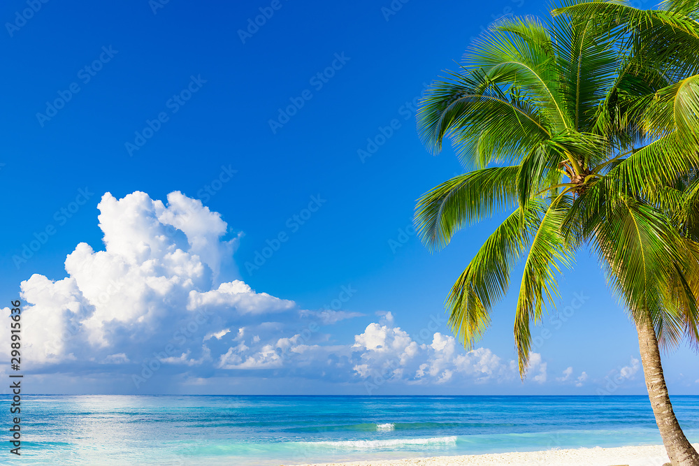 paradise tropical beach paradise tropical beach