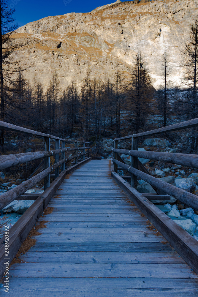 Fototapeta premium wooden bridge in the forest