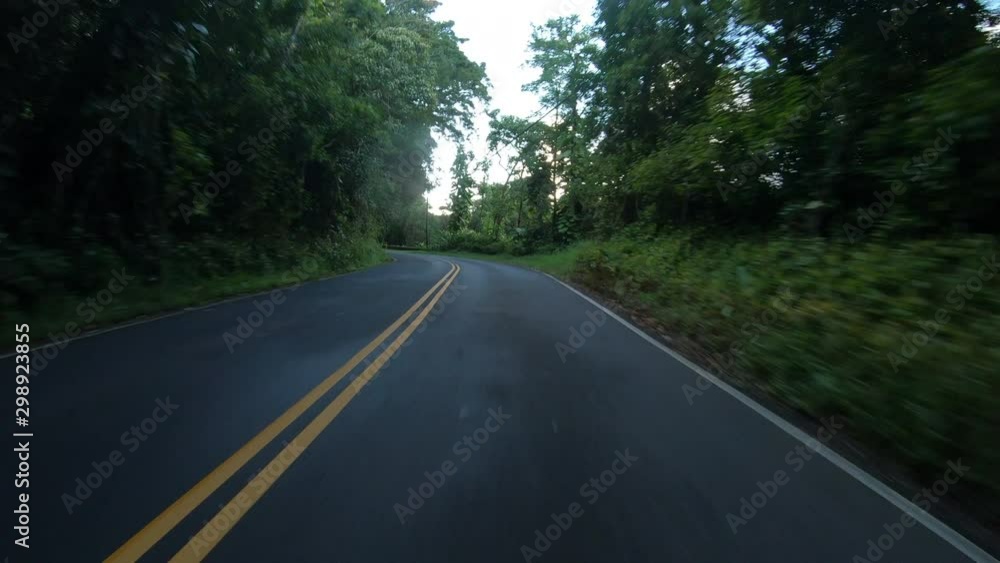 Driving Straight Down Shady Rural Hawaiian Road Driving Straight Down Shady Rural Hawaiian Road