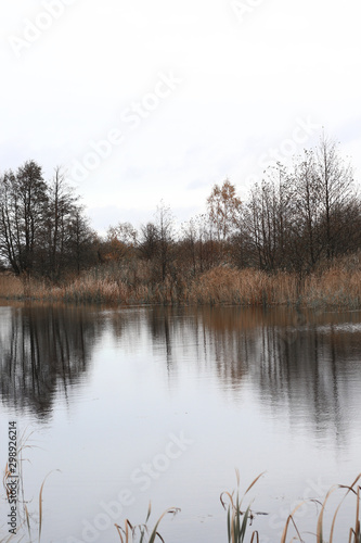 Baltic nature in autumn, forest and river