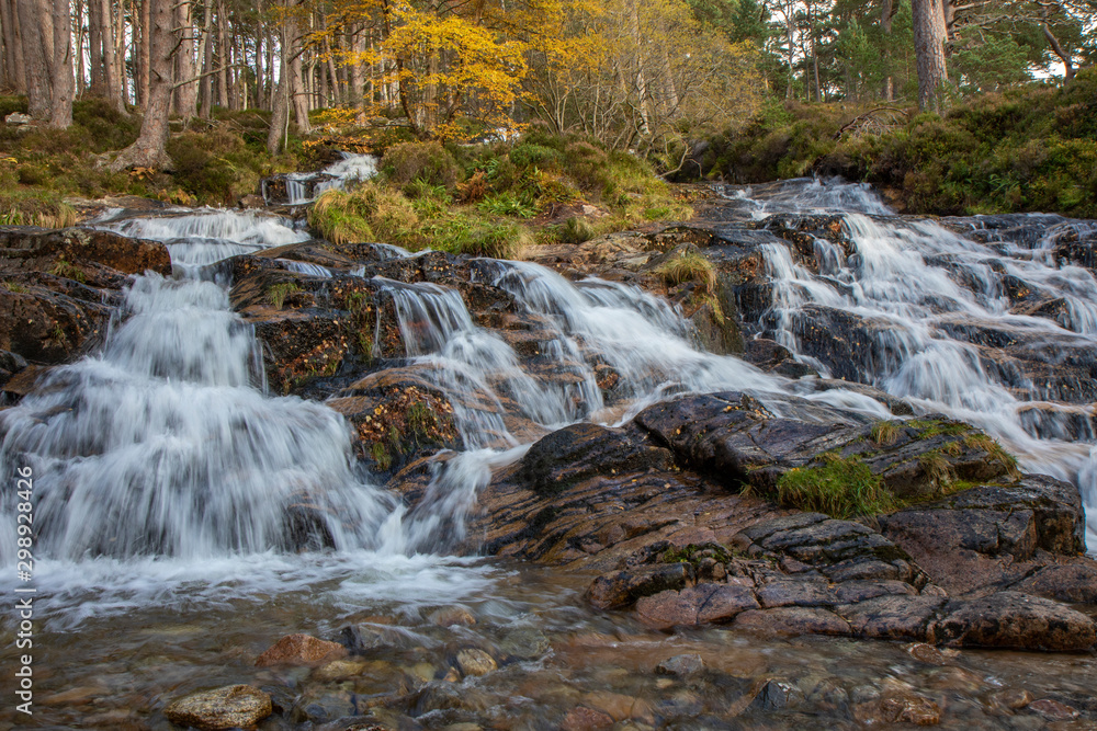 waterfall in the cairngorms national park, Scotland, during the autumn with orange and yellow leaf birch and pine trees and forest background.