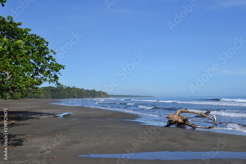 playa negra