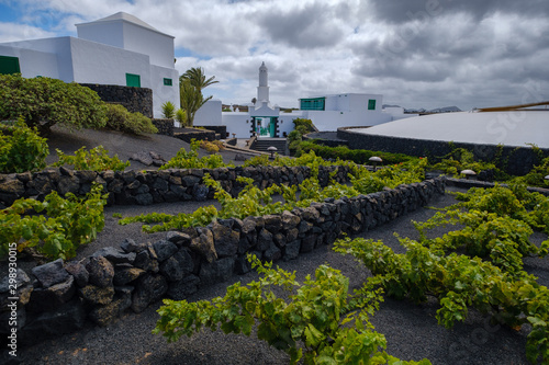 Fototapeta Naklejka Na Ścianę i Meble -  Beautiful architecture called Casa - Museo del Campesino by Cesar Manrique