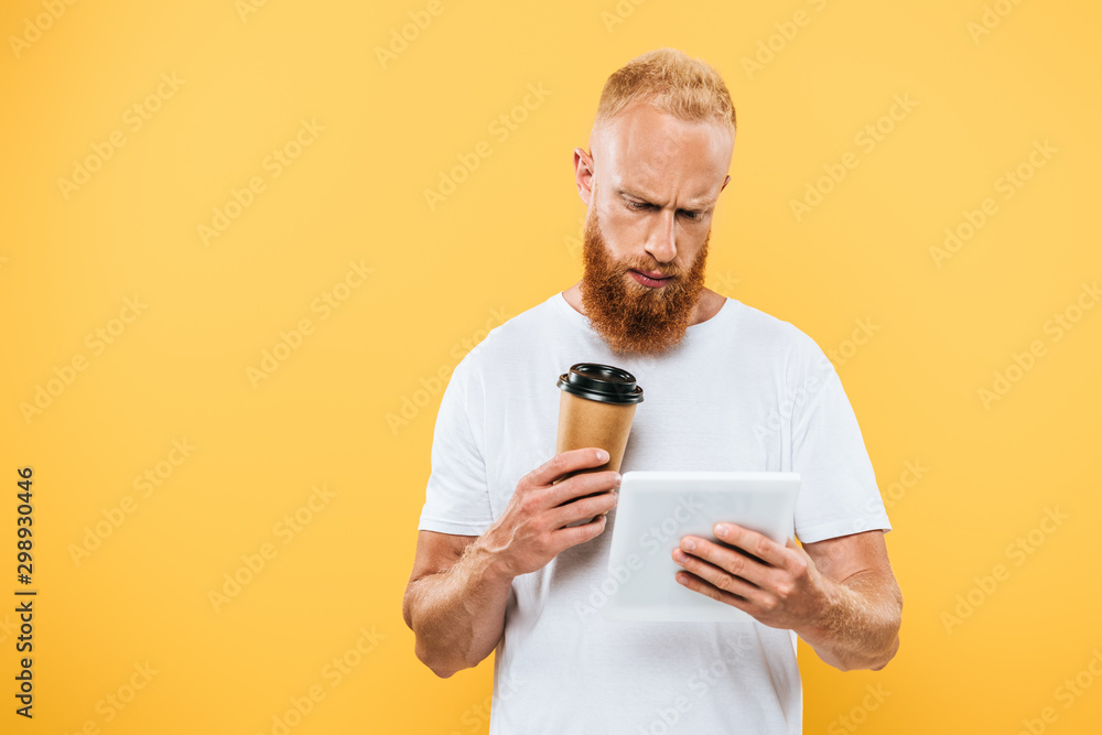 thoughtful bearded man with coffee to go using digital tablet, isolated on yellow thoughtful bearded man with coffee to go using digital tablet, isolated on yellow
