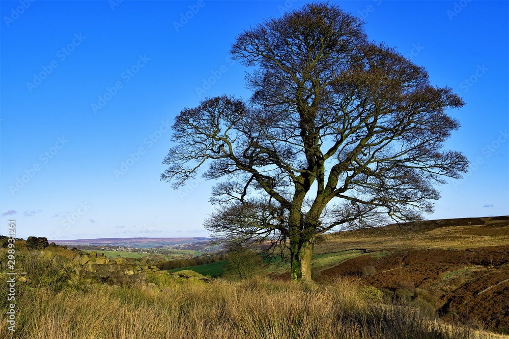 The wild moors of High Withens, Haworth.jpg The wild moors of High Withens, Haworth.jpg