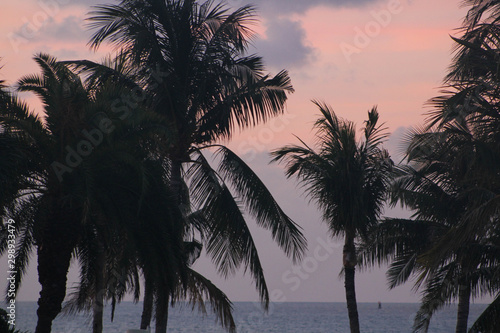 Key West Sunrise