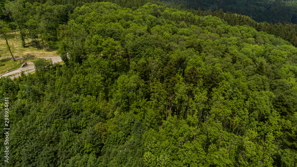 Aerial shot of tree tops in autumn mountain landscape.