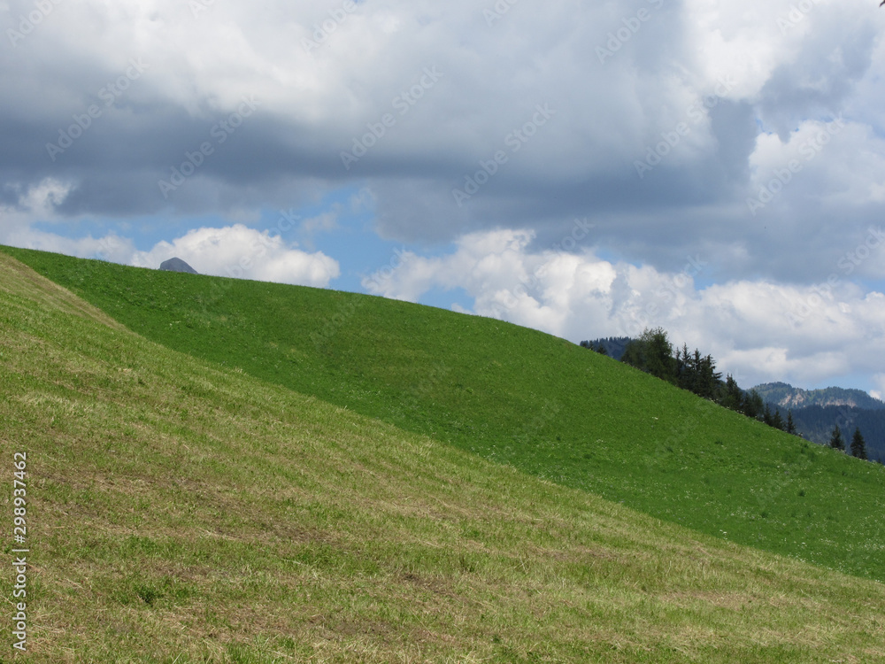 Grassy field at the rolling hill against a cloudy sky
