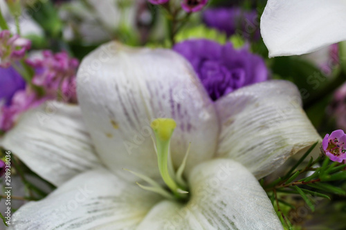 white flowers in the garden